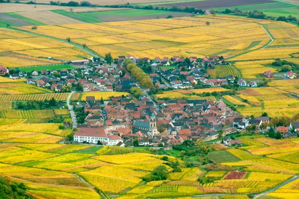 stock image Down in the valley