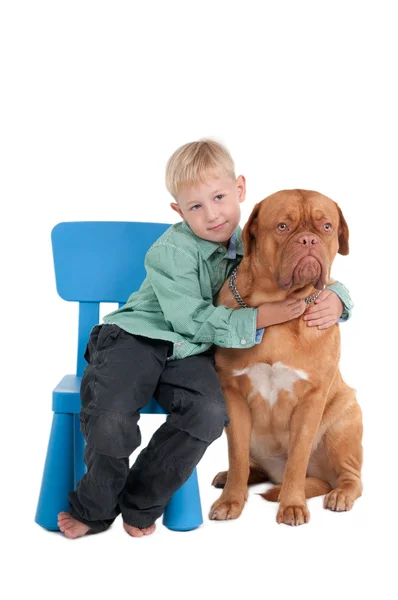 O rapaz e o seu cão — Fotografia de Stock