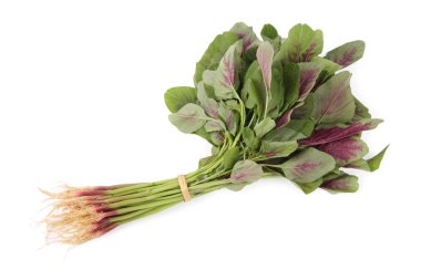 Amaranth clipart