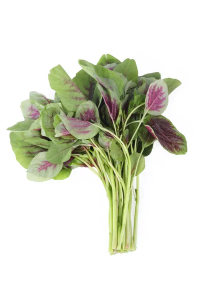 Amaranth-Gemüse — Stockfoto