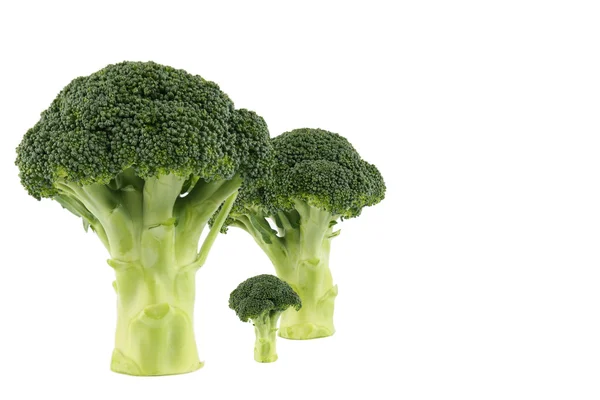 Família dos brócolos — Fotografia de Stock