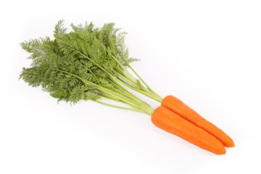 Carrot clipart