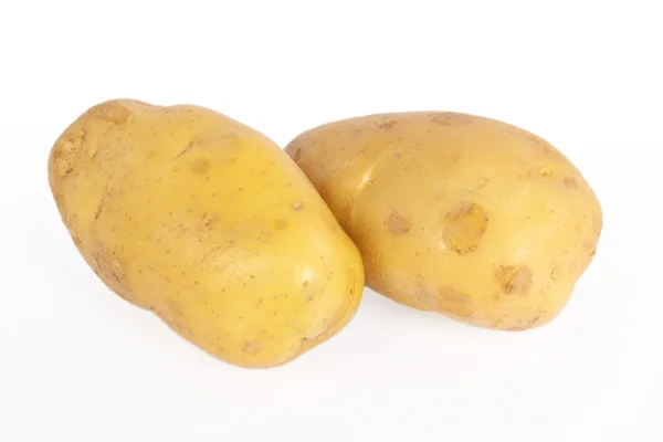 Stock image Potato