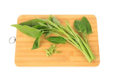 Water spinach clipart