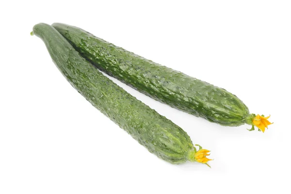 Twee komkommer — Stockfoto