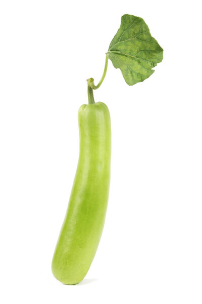 Bottle gourd