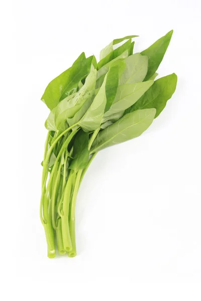 Water spinach — Stock Photo, Image
