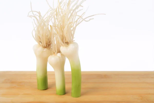 Green garlic — Stock Photo, Image