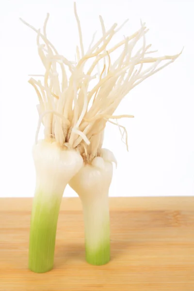 Green garlic — Stock Photo, Image