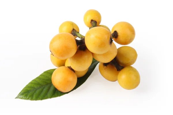Fruits du loquat — Photo