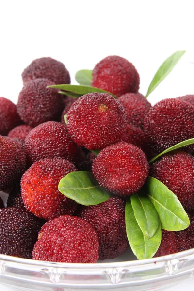 Червоний bayberry — стокове фото