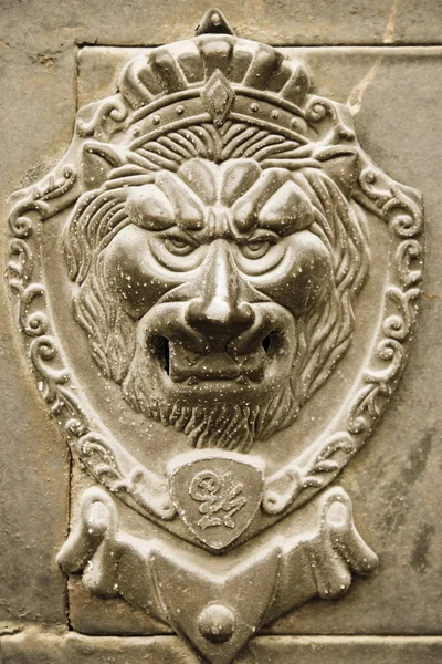 Mango de león en puerta — Foto de Stock