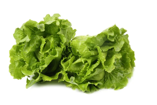Two lettuce — Stock Photo, Image