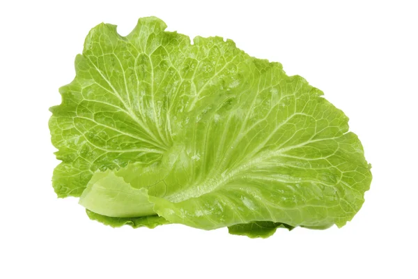 Frunze de salată verde — Fotografie, imagine de stoc