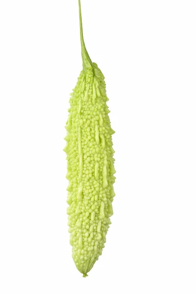 Balsam pear — Stock Photo, Image
