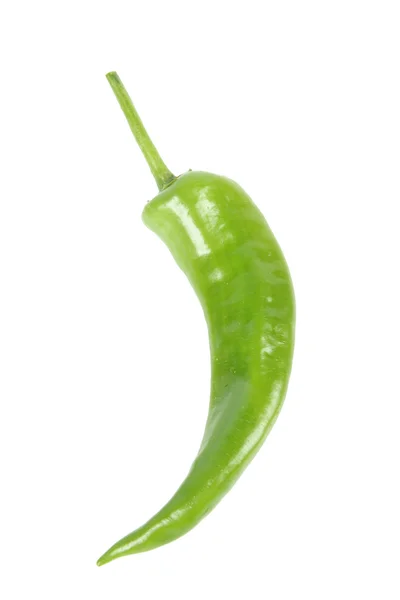 Enda grön paprika — Stockfoto
