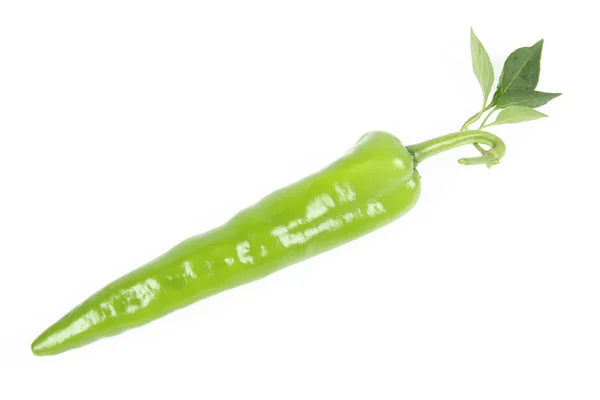 Pimienta verde fresca — Foto de Stock
