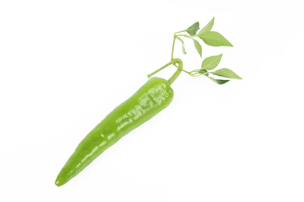 Pimienta verde fresca —  Fotos de Stock