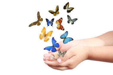 Child's hand releasing butterflies clipart