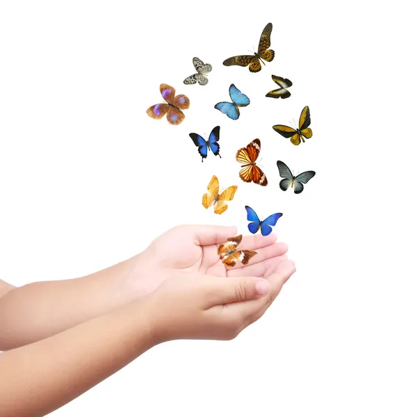 Pequena mão liberando borboletas, sonhos voadores — Fotografia de Stock