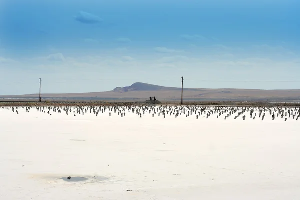 Lac salé Baskunchak et montagne Bogdo — Photo