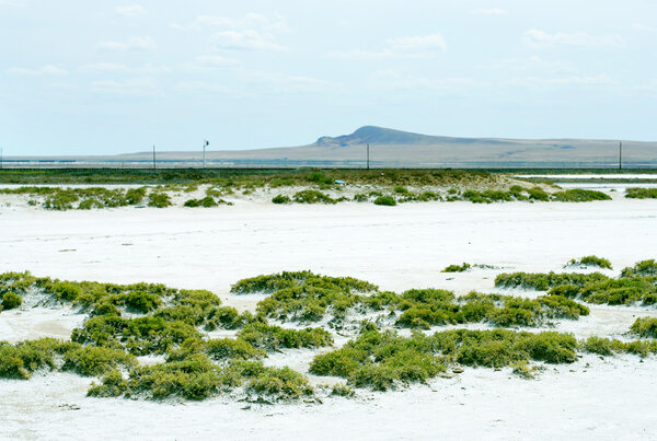 Salty lake Baskunchak and mountain Bogdo