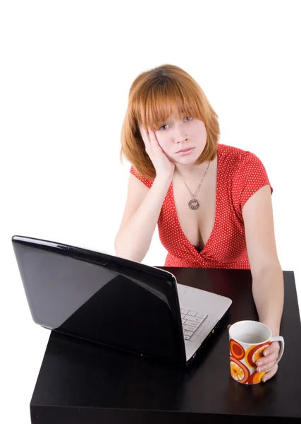 Mooi meisje die op laptop werkt — Stockfoto