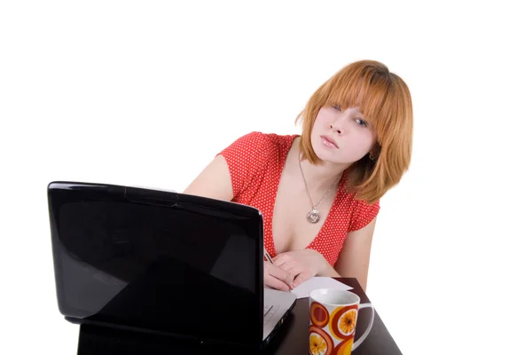 Chica bonita trabajando en el ordenador portátil — Foto de Stock
