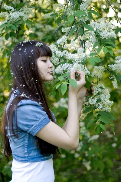 Lilac duran kız — Stok fotoğraf