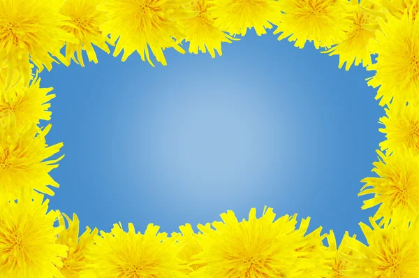 Background with dandelions. — Stock Photo, Image