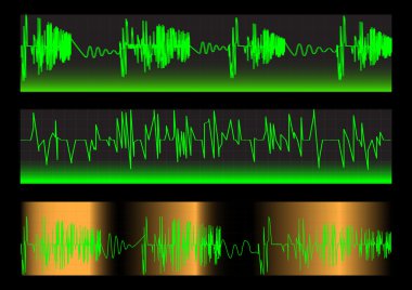 Waveforms. Set. Vector. clipart