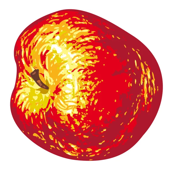 Apfel — Stockvektor