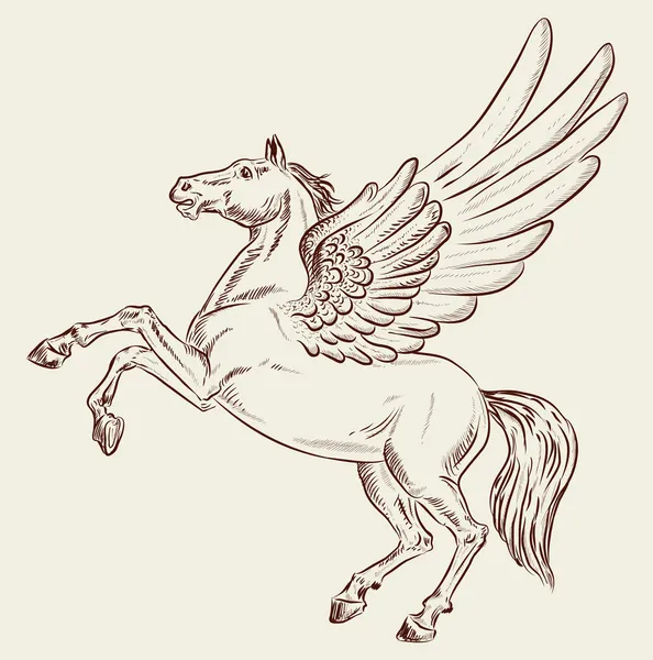 Kůň — Stockový vektor