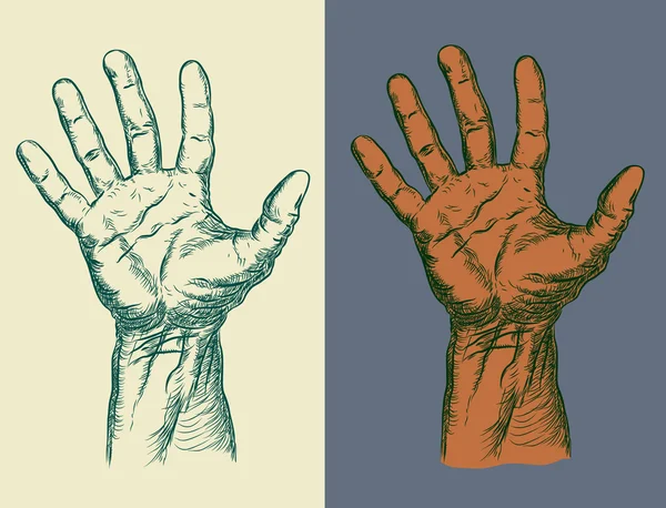 Hand Vectorbeelden