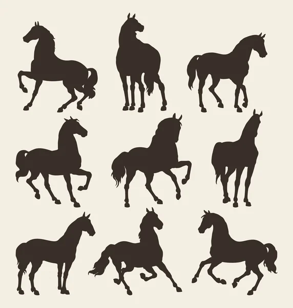 Horse — Stock Vector