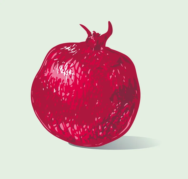 Obst — Stockvektor