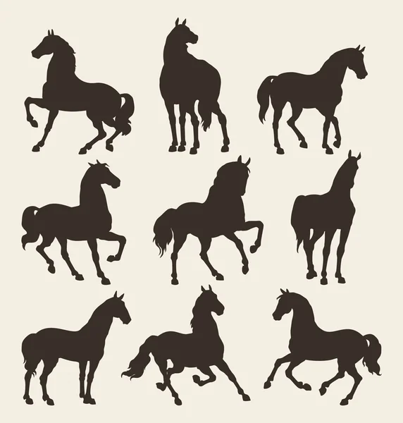 Cavalo Ilustração De Stock