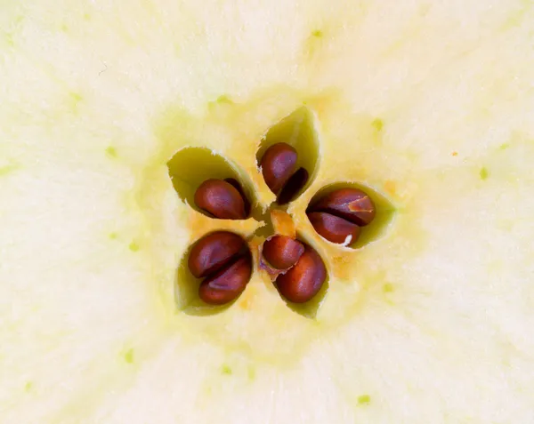 Corte detalle núcleo de manzana — Foto de Stock
