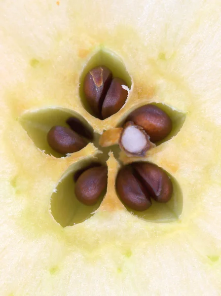 Řez jablko jádra detail — Stock fotografie