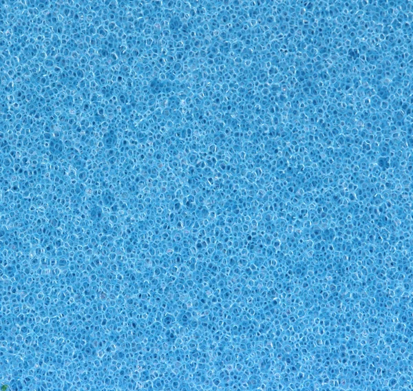 Blue sponge pores detail — Stock Photo, Image