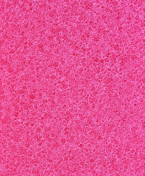 Detalle de los poros de esponja roja — Foto de Stock
