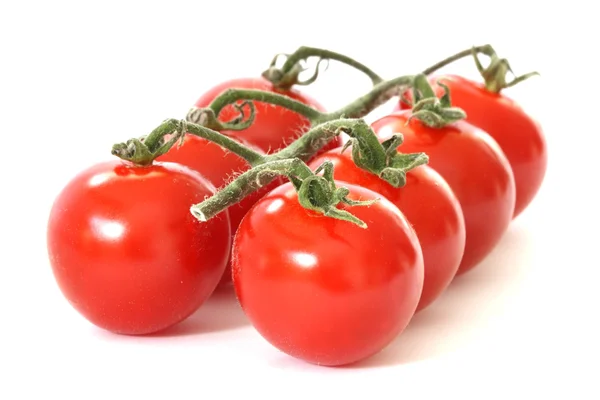 Tomat merah — Stok Foto