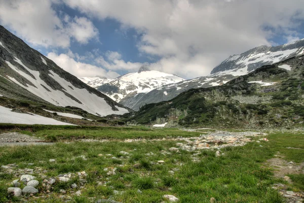 stock image Alps mountains and pasture