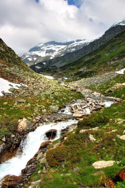 Hory Alpy a pastviny — Stock fotografie
