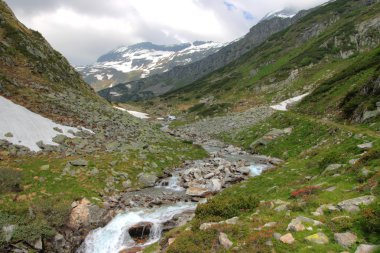 Alp Dağları ve Mera