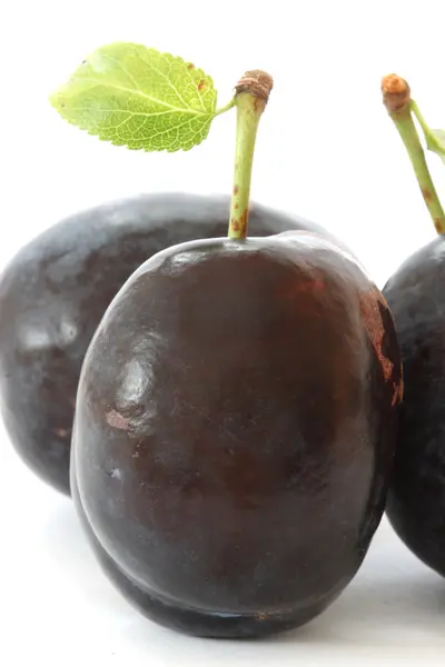 stock image Plums on white background