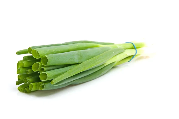 Bunch fresh spring onions — Stock Photo, Image