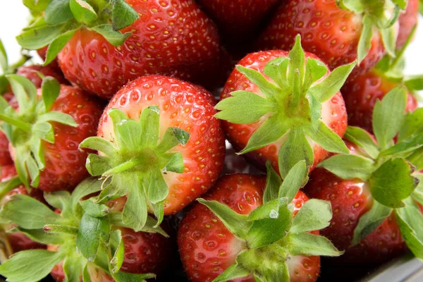 Strawberrys — Stock fotografie