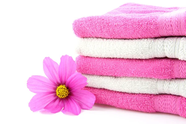 Ręczniki i kwiat — Zdjęcie stockowe