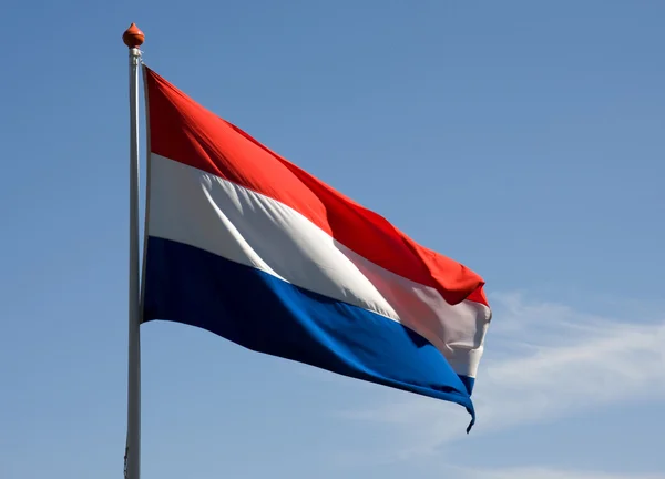 Hollanda bayrağı çırpınan — Stok fotoğraf